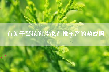有关于警花的游戏,有像王者的游戏吗