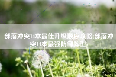 部落冲突14本最佳升级顺序攻略(部落冲突14本最强防御阵型)