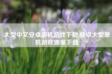 大型中文安卓单机游戏下载,安卓大型单机游戏哪里下载