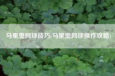 马里奥网球技巧(马里奥网球操作攻略)
