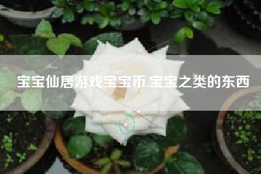 宝宝仙居游戏宝宝币,宝宝之类的东西