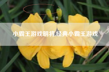 小霸王游戏明将,经典小霸王游戏