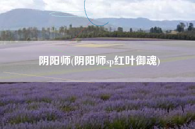 阴阳师(阴阳师sp红叶御魂)