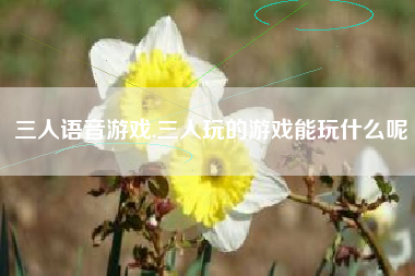 三人语音游戏,三人玩的游戏能玩什么呢