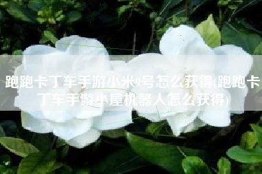 跑跑卡丁车手游小米9号怎么获得(跑跑卡丁车手游小屋机器人怎么获得)