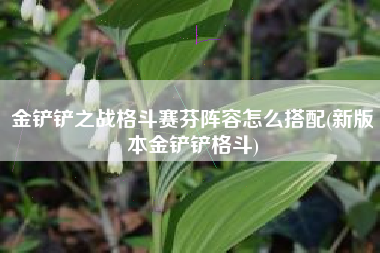 金铲铲之战格斗赛芬阵容怎么搭配(新版本金铲铲格斗)