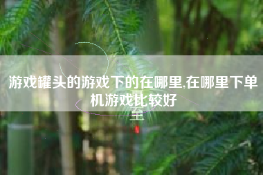 游戏罐头的游戏下的在哪里,在哪里下单机游戏比较好