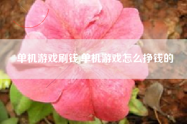 单机游戏刷钱,单机游戏怎么挣钱的