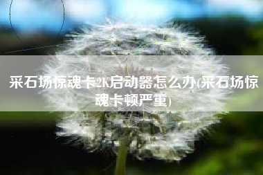 采石场惊魂卡2K启动器怎么办(采石场惊魂卡顿严重)