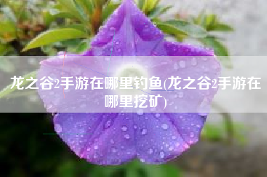 龙之谷2手游在哪里钓鱼(龙之谷2手游在哪里挖矿)
