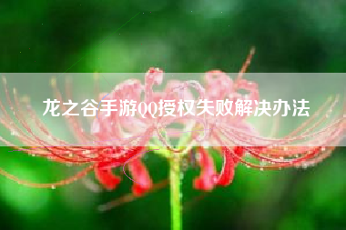 龙之谷手游QQ授权失败解决办法