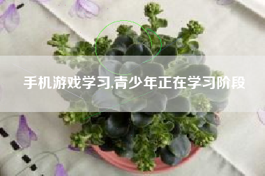 手机游戏学习,青少年正在学习阶段