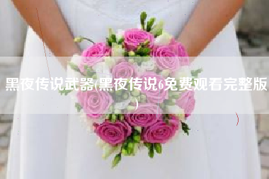 黑夜传说武器(黑夜传说6免费观看完整版)