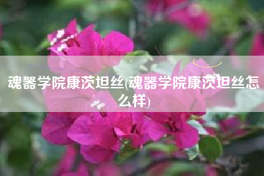 魂器学院康茨坦丝(魂器学院康茨坦丝怎么样)