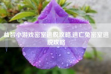 益智小游戏密室逃脱攻略,逃亡兔密室逃脱攻略