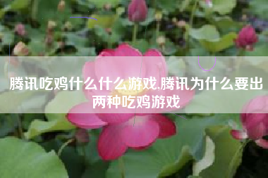 腾讯吃鸡什么什么游戏,腾讯为什么要出两种吃鸡游戏
