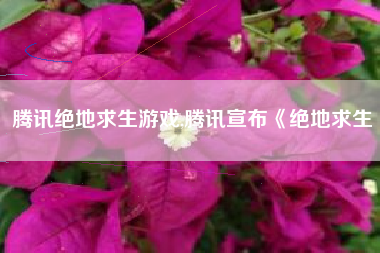 腾讯绝地求生游戏,腾讯宣布《绝地求生