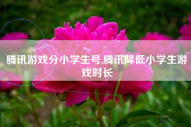 腾讯游戏分小学生号,腾讯降低小学生游戏时长