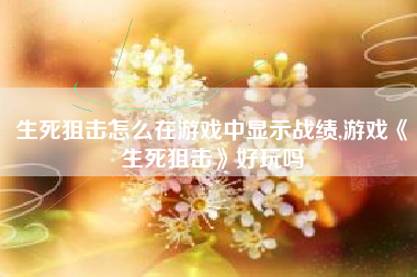生死狙击怎么在游戏中显示战绩,游戏《生死狙击》好玩吗