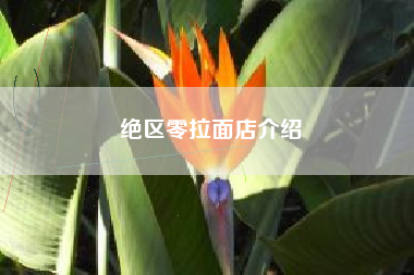绝区零拉面店介绍