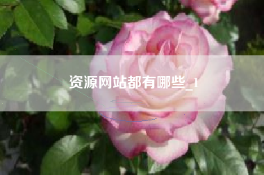 资源网站都有哪些_1