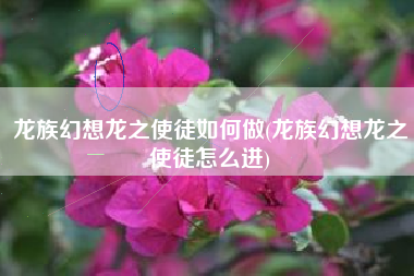 龙族幻想龙之使徒如何做(龙族幻想龙之使徒怎么进)