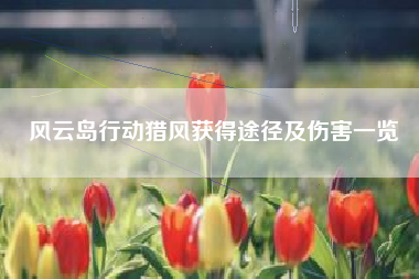 风云岛行动猎风获得途径及伤害一览