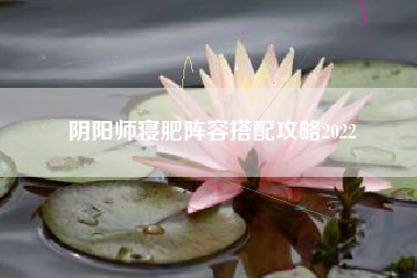 阴阳师寝肥阵容搭配攻略2022