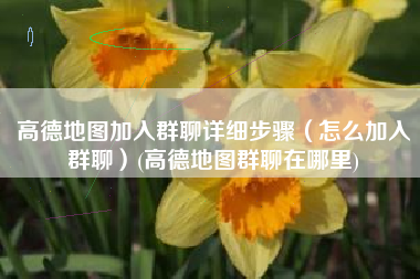 高德地图加入群聊详细步骤（怎么加入群聊）(高德地图群聊在哪里)