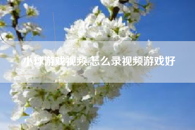 小球游戏视频,怎么录视频游戏好