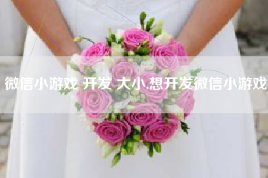 微信小游戏 开发 大小,想开发微信小游戏