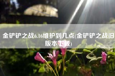 金铲铲之战6.16维护到几点(金铲铲之战旧版本下载)