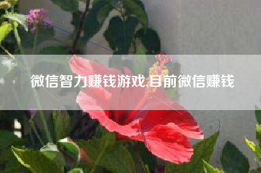 微信智力赚钱游戏,目前微信赚钱