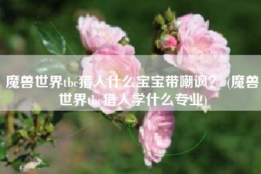 魔兽世界tbc猎人什么宝宝带嘲讽？ (魔兽世界tbc猎人学什么专业)