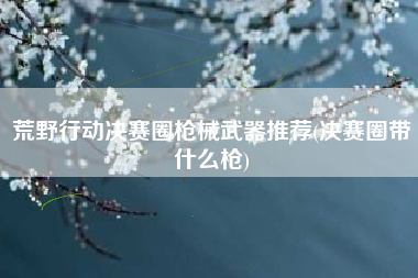 荒野行动决赛圈枪械武器推荐(决赛圈带什么枪)