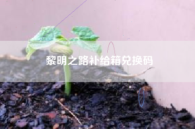 黎明之路补给箱兑换码