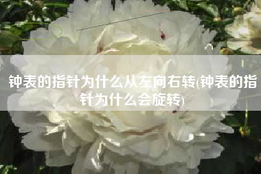 钟表的指针为什么从左向右转(钟表的指针为什么会旋转)