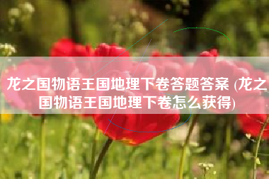 龙之国物语王国地理下卷答题答案 (龙之国物语王国地理下卷怎么获得)