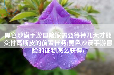 黑色沙漠手游冒险家需要等待几天才能交付高斯皮的前置任务(黑色沙漠手游冒险的证物怎么获得)