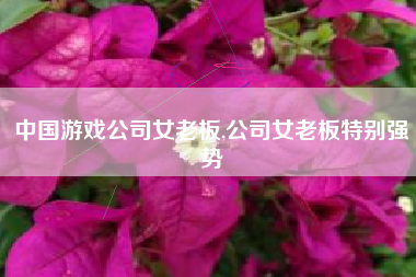 中国游戏公司女老板,公司女老板特别强势