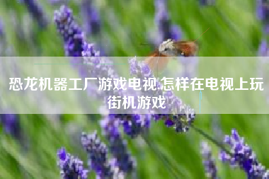 恐龙机器工厂游戏电视,怎样在电视上玩街机游戏