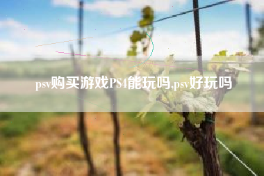 psv购买游戏PS4能玩吗,psv好玩吗