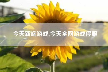 今天新端游戏,今天全网游戏停服