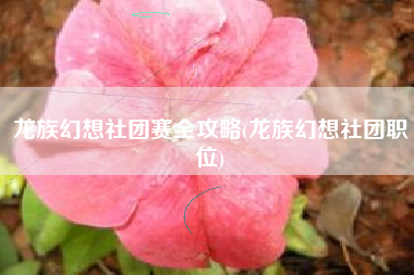 龙族幻想社团赛全攻略(龙族幻想社团职位)