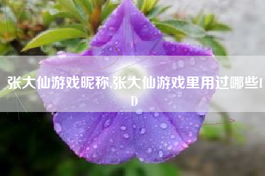 张大仙游戏昵称,张大仙游戏里用过哪些ID