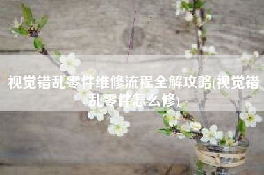 视觉错乱零件维修流程全解攻略(视觉错乱零件怎么修)