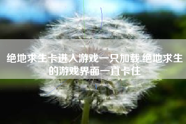 绝地求生卡进入游戏一只加载,绝地求生的游戏界面一直卡住