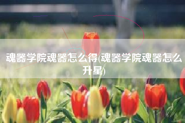 魂器学院魂器怎么得(魂器学院魂器怎么升星)