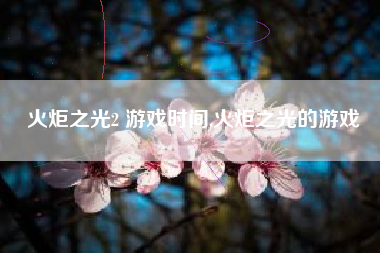 火炬之光2 游戏时间,火炬之光的游戏