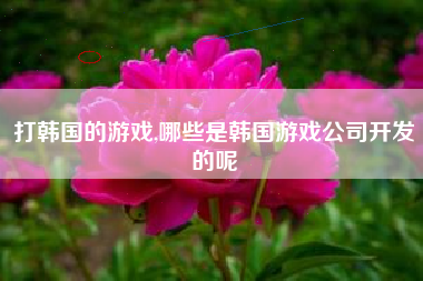 打韩国的游戏,哪些是韩国游戏公司开发的呢